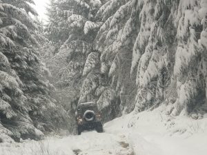 Big Fog Snow